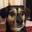 Jack Deutsch - @DeutschJack - Twitter