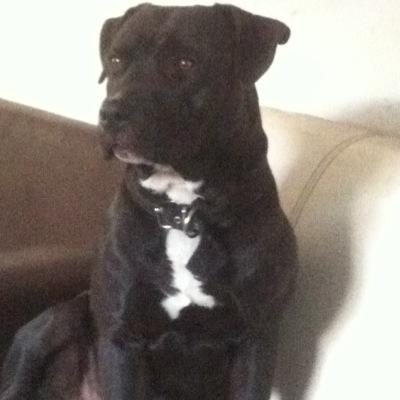 arico60's profile picture. 