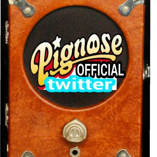 OFFICIAL twitter account of Pignose Gorilla amps P.A. systems, megaphones, electric & acoustic guitars, accessories, and other products. http://t.co/nklyPIQNSu