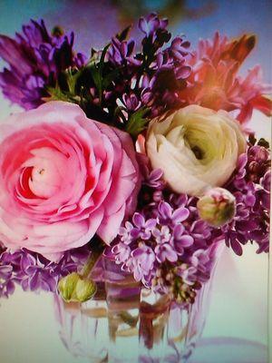 valyag61's profile picture. 