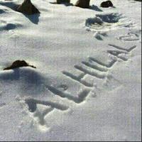 أبو نايف المباركي (@abu_naif1515) 's Twitter Profile Photo