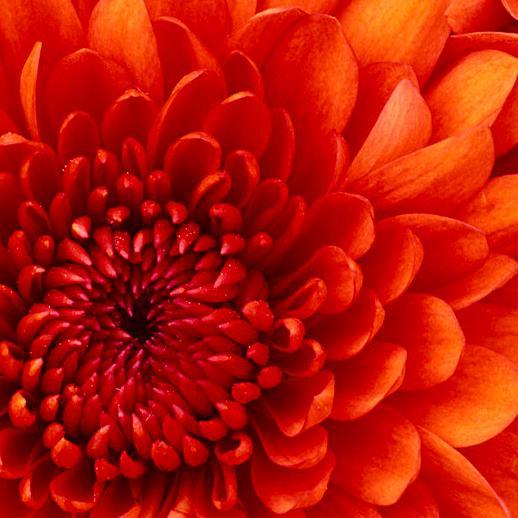 runrunrun's profile picture. 