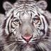 Kamlesh Ahire (@ahire_kamlesh) Twitter profile photo
