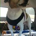 johnny hailey - @hailster007 - Twitter