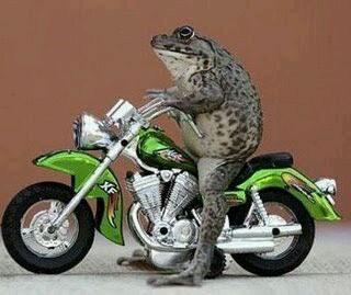 ~®*alon alon waton kelakon*@~