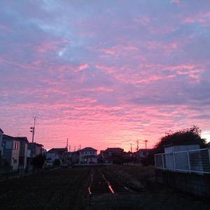 西晴