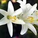 Liz Marks - @Liz_R_Marks - Twitter