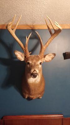 kbader2149's profile picture. 