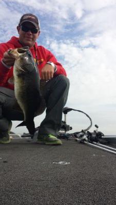 sambofish25's profile picture. 