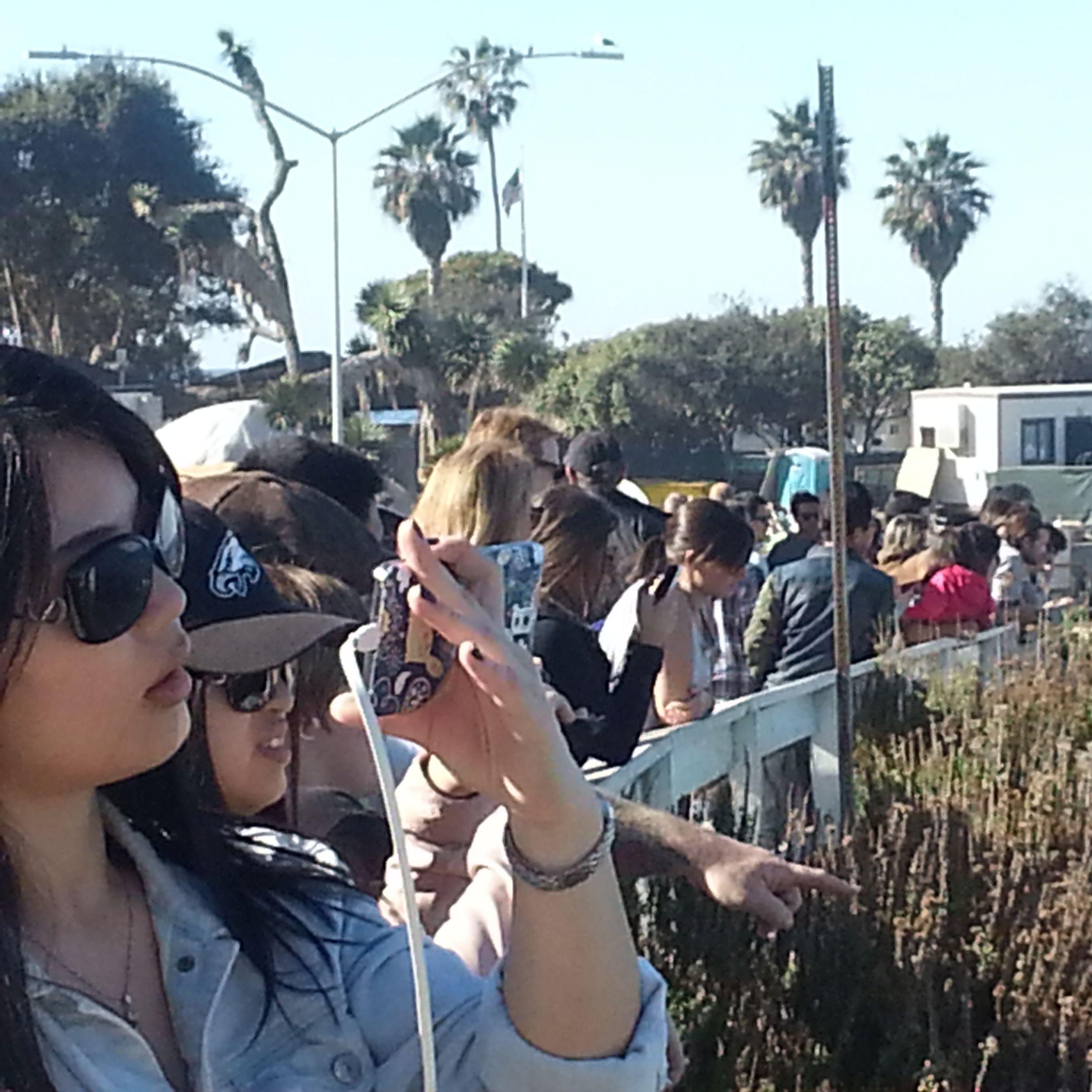 PuppyPower__'s profile picture. 