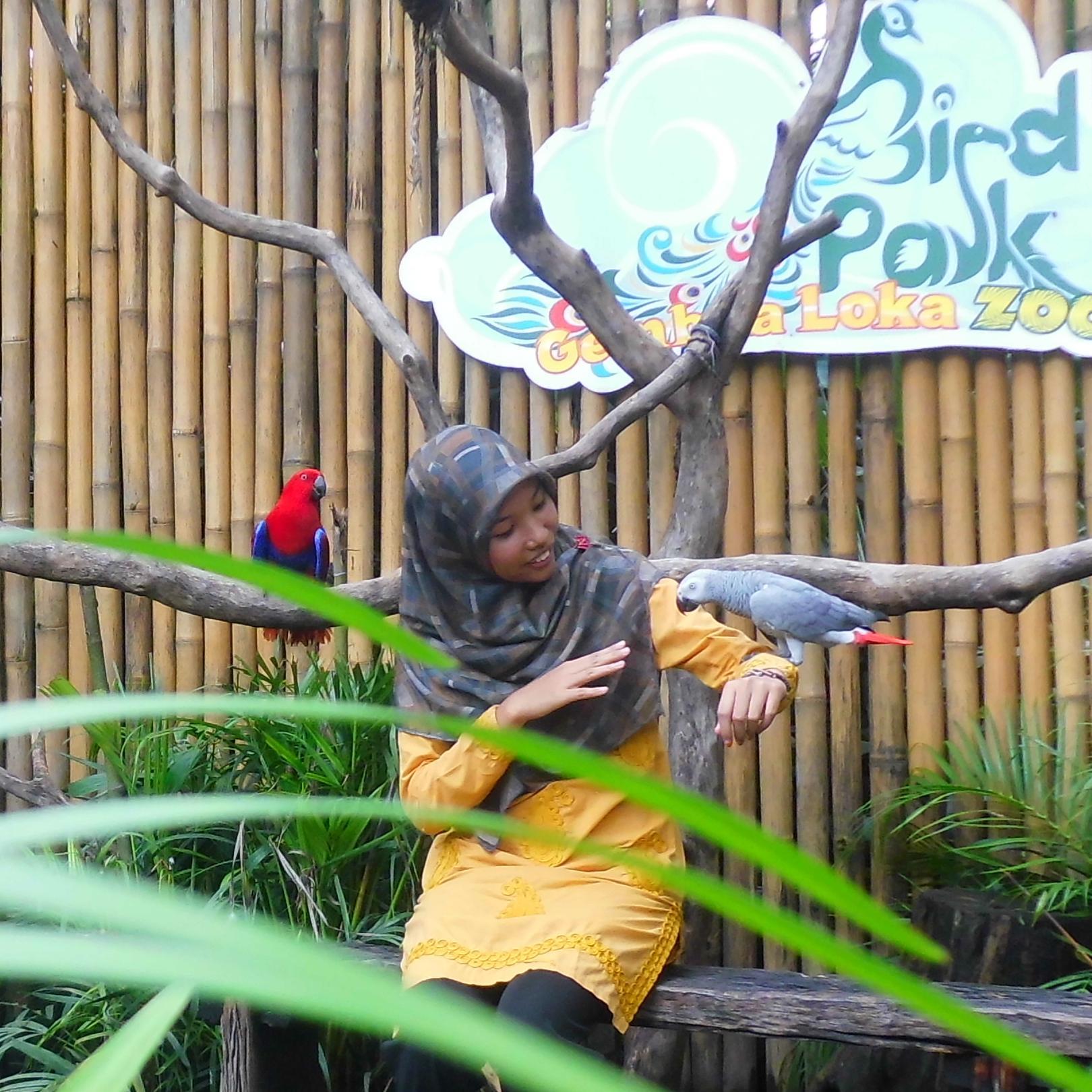 ncii_lestari's profile picture. Peace is feeling comfort!