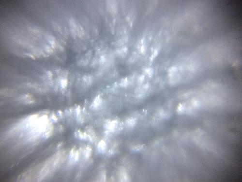 anony_ss Profile Picture