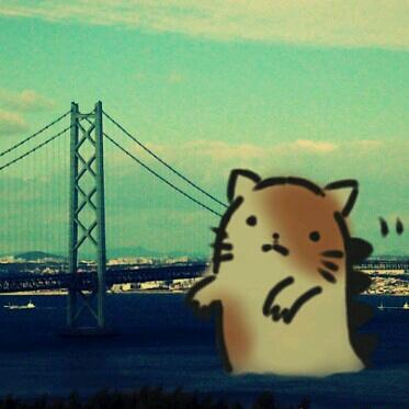 もっちさんのプロフィール画像