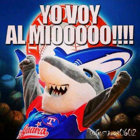 Widov's profile picture. 