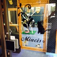a (@miacis_m) Twitter profile photo