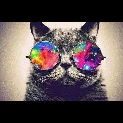 InfinitoColorid's profile picture. 