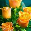 Nancy Marcial - @feec11856b294cc - Twitter