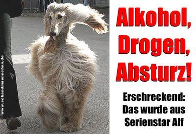 marco_straub's profile picture. 