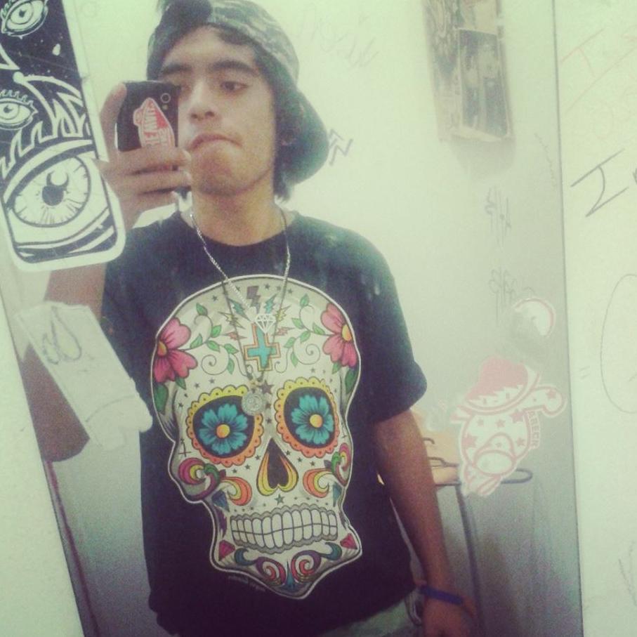 VANSLivingOfTheWall°Rancheros240 Solo vivo para patinar y patino para vivir, #SkateEveryDamnDay