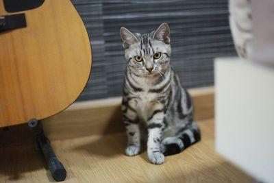 sideview03's profile picture. 