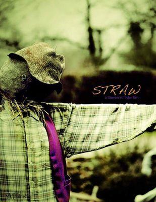 jspro8152's profile picture. Straw is a short film directed by Steven M Tyler about a girl who clings to last memory of her father building a scarecrow to survive a brutal event.