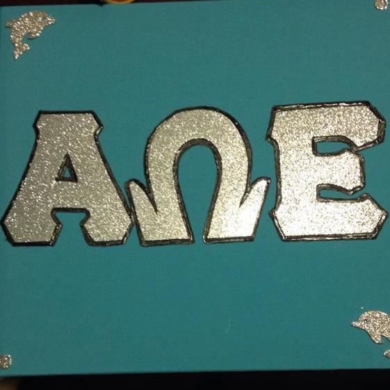 Alpha Omega Epsilon Engineering and Technical Science Sorority at the University of North Carolina at Charlotte.