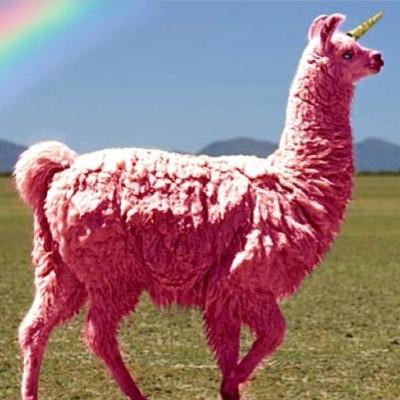 skrolli1's profile picture. 