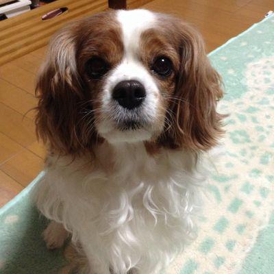 仲良くよろしくお願いします(*^^*)(*^^*)