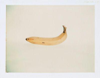 waitwaitcoykoi's profile picture. ::shrug::