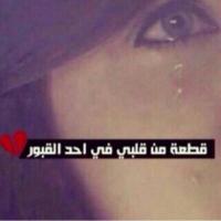 بنت المدينه  (@c365ecab96e1427) Twitter profile photo