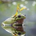 Chris Lastname - @803cpc - Twitter