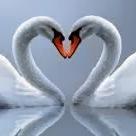 Artist ~ Poet ~ Life Coach ~ Movement Medicine ~ Child Whisperer ~~ Peace Ambassador ~~
sage@innerpeacehealing.com
http://t.co/dsWSeLGXRs