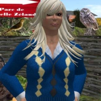 We are a community offering free classes in 3D multi-user virtual environments to connect language learners and professionals across the globe.