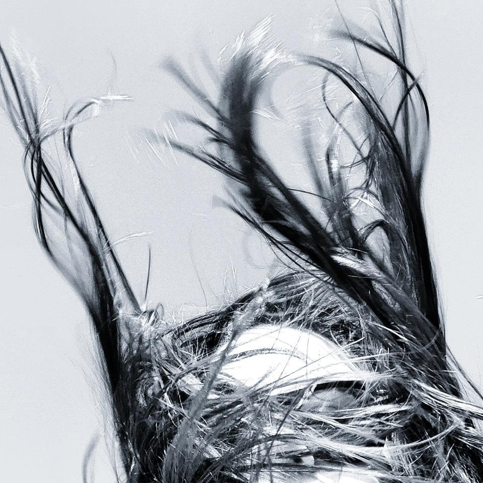 lassbirdie's profile picture. a creative, @claudeartwork