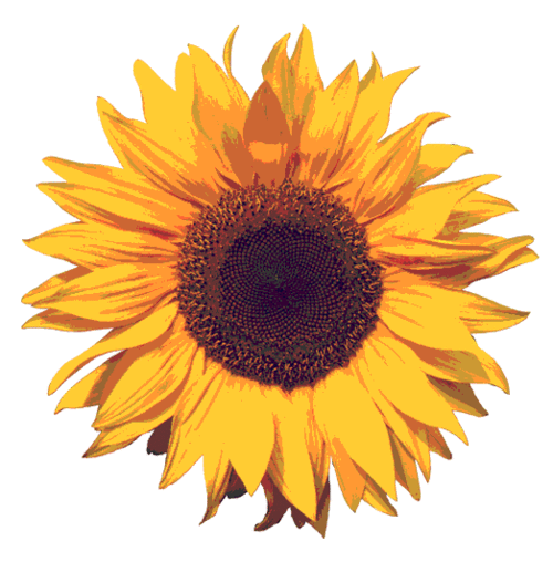 Free Free 115 Rustic Sunflower Svg SVG PNG EPS DXF File