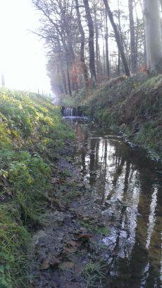 Outdoor_Veluwe's profile picture. Gasten zien genieten van een top event! Daar worden wij blij en gelukkig van.