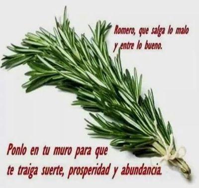 Ya tu sabes