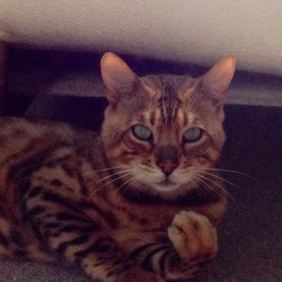 MarkCalrissian's profile picture. 