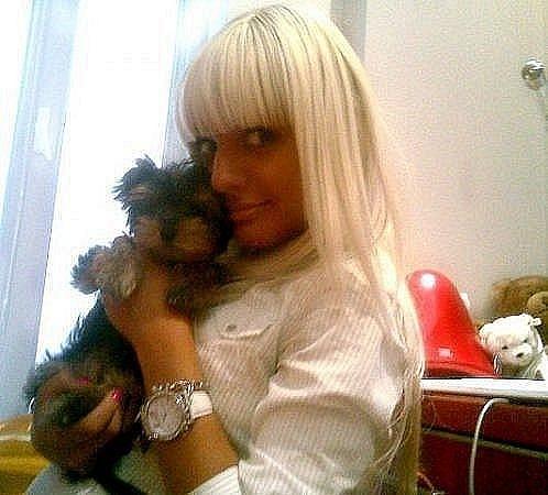 xymorotatyny's profile picture. 