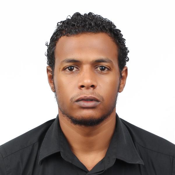 E&E Engineer