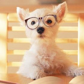 039_s_michinori's profile picture. 相互フォローは大歓迎じゃよ。ただ、わしのフォローをブロックしたら解除しといてくれ。アカウントが凍結してしまうんじゃ。それはそれとして、今後は旅行先とか介護先とか、思い出話でも綴っていくぞい。