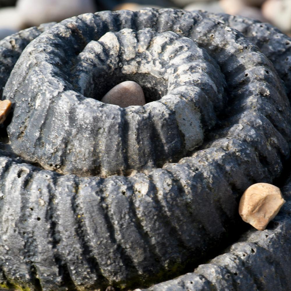 BPSlovemaths's profile picture. Maths is everywhere. Follow our adventures as we discover this at Billingshurst Primary School and beyond.