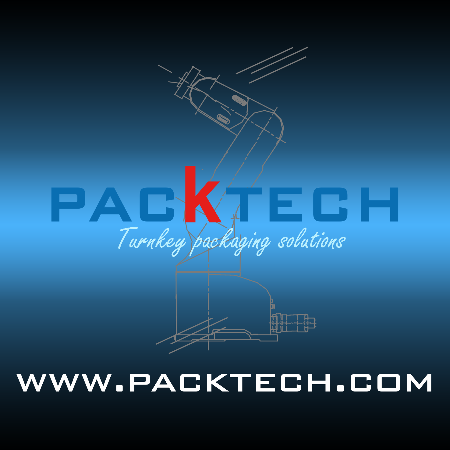 flexible, packaging, sealing, case packing, American-type case, case erecting, tray packing, food, medical, cosmetics, case closing, transport, convey, packer.