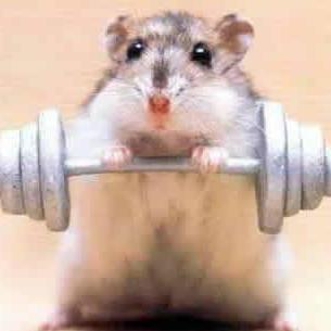 We offer average people awesome results.  Health and Fitness is our game