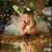 isabeldiazflor1's profile image