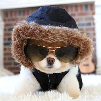 gato12291486881's profile picture. 