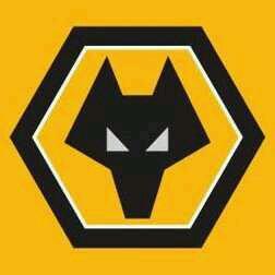 WEAREWOLVES113's profile picture. 