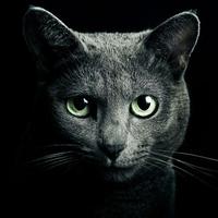 Markone (@markonebg) 's Twitter Profile
