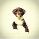 Tim Wenzel - @naporoli - Twitter