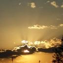 Leanne Wills - @wills_lw - Twitter